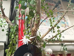 目白之旅 3
