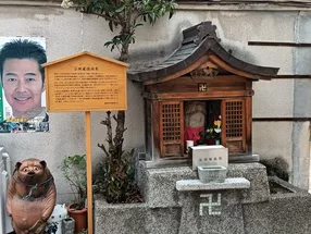 メジロツアー 4