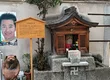 目白之旅 4